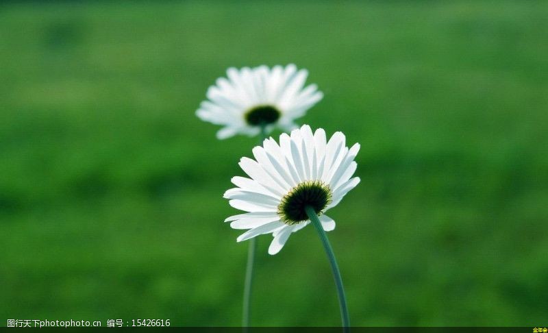 環(huán)氧粉末防腐鋼管多少錢(qián)(環(huán)氧粉末防腐螺旋鋼管)