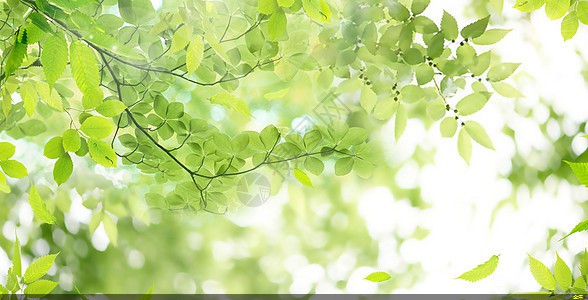 環(huán)氧粉末防腐鋼管多少錢(qián)(環(huán)氧粉末防腐螺旋鋼管)