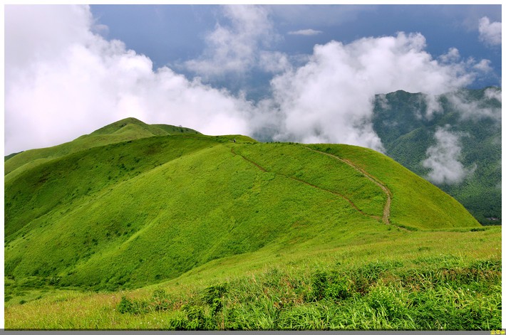 聚氨酯保溫鋼管生產(chǎn)廠家電話地址(聚氨酯保溫管公司)