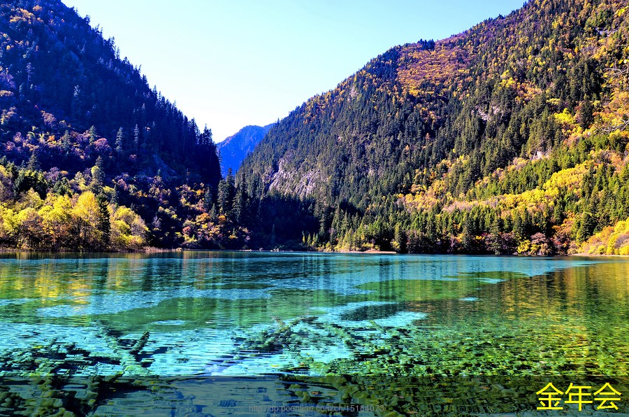 tpep防腐鋼管的產(chǎn)品應(yīng)用研究