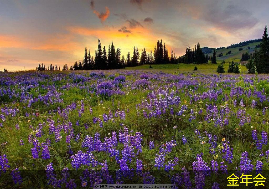 tpep防腐鋼管的供應鏈管理