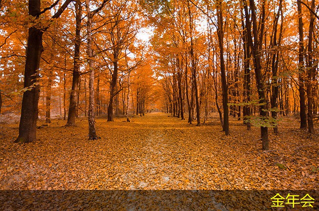 tpep防腐鋼管的創(chuàng)新技術(shù)介紹