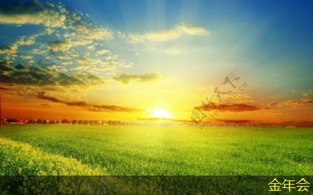 tpep防腐鋼管的市場動態(tài)分析