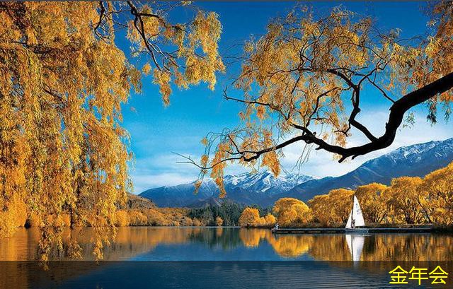 tpep防腐鋼管的市場趨勢預測