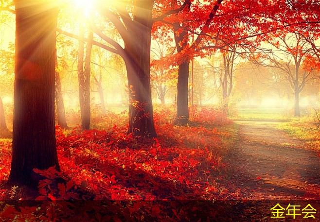 tpep防腐鋼管的市場需求預測