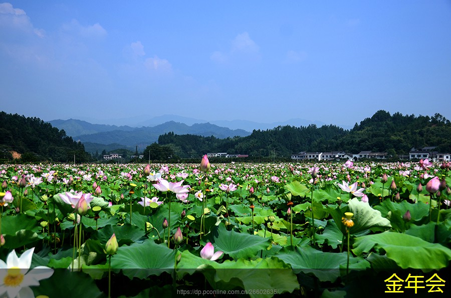tpep防腐鋼管的施工工藝介紹