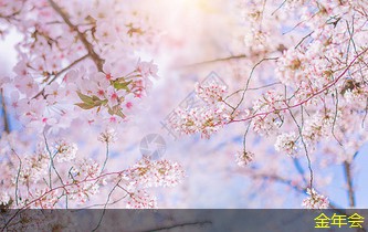 tpep防腐鋼管的環(huán)保設(shè)計(jì)理念