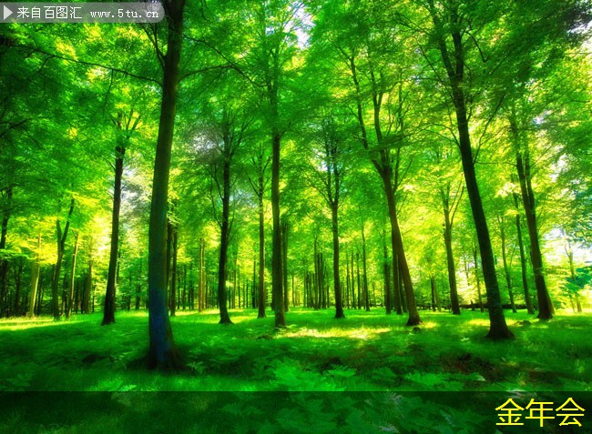 tpep防腐鋼管的生產流程解析