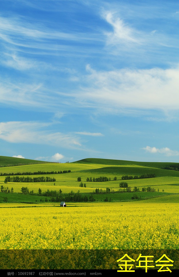 tpep防腐鋼管的行業(yè)發(fā)展前景