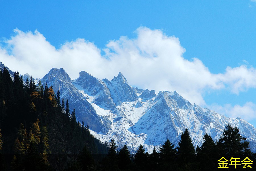如何選擇優(yōu)質(zhì)鋼套鋼保溫鋼管