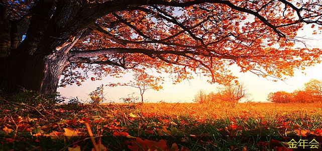 水泥砂漿防腐鋼管的優(yōu)勢(shì)與劣勢(shì)