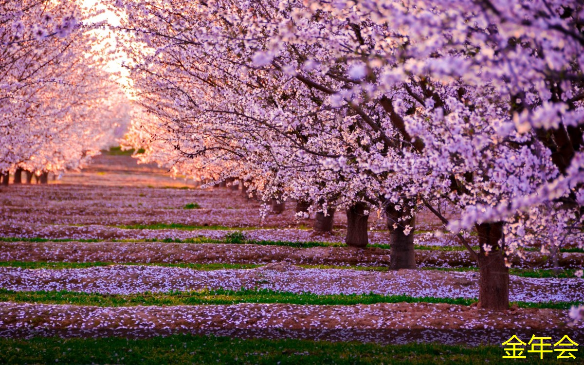 水泥砂漿防腐鋼管的選購技巧 水泥砂漿防腐鋼管的選購技巧