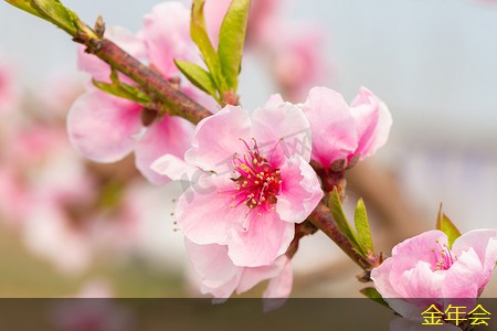 水泥砂漿防腐鋼管的防腐性能