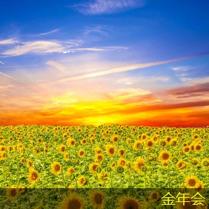 涂塑鋼管的市場前景與發(fā)展趨勢