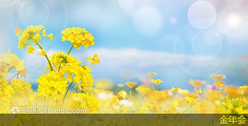 涂塑鋼管的承載能力研究 涂塑鋼管的承載能力研究