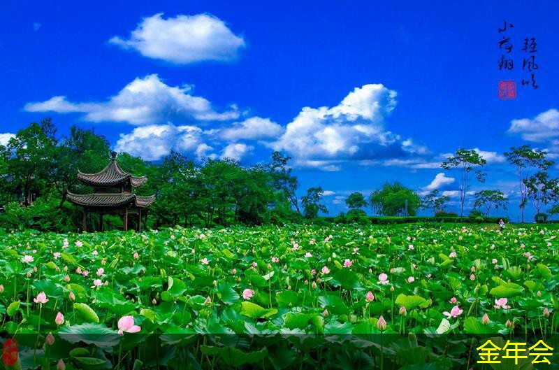 涂塑鋼管的市場需求預(yù)測