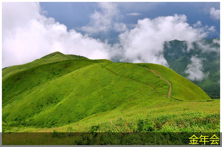 涂塑鋼管的常見品牌比較 涂塑鋼管的常見品牌比較