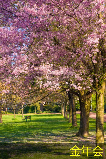 涂塑鋼管的檢驗(yàn)和認(rèn)證流程