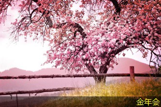 涂塑鋼管的涂層技術(shù) 涂塑鋼管的涂層技術(shù)