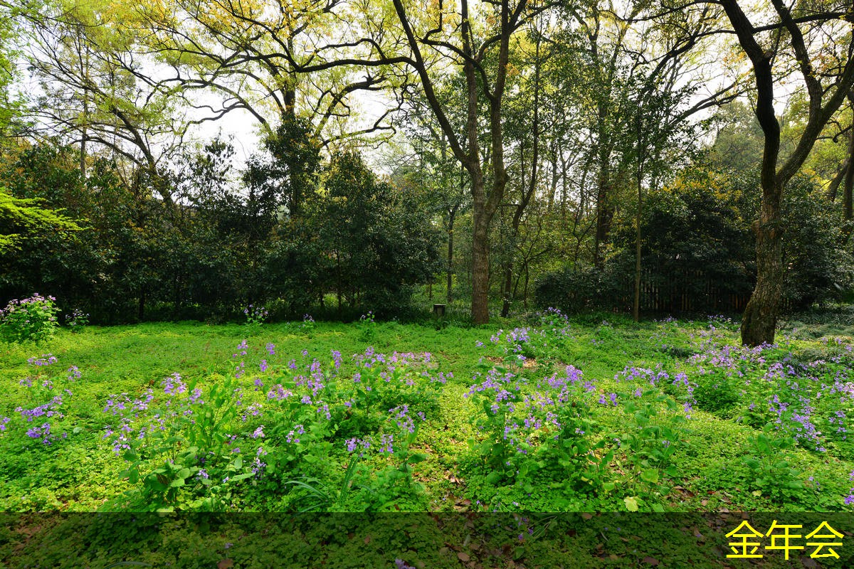 涂塑鋼管的耐壓能力分析
