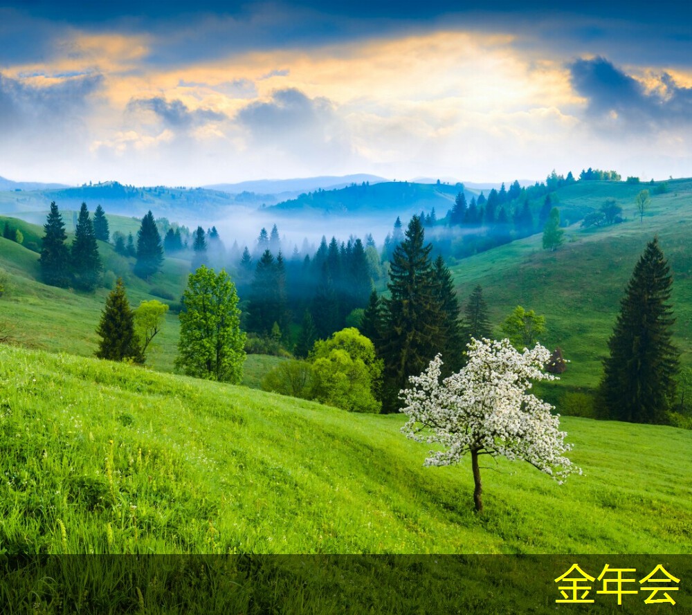 涂塑鋼管的規(guī)格選擇指南