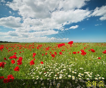 環(huán)氧煤瀝青防腐鋼管的價(jià)格影響因素