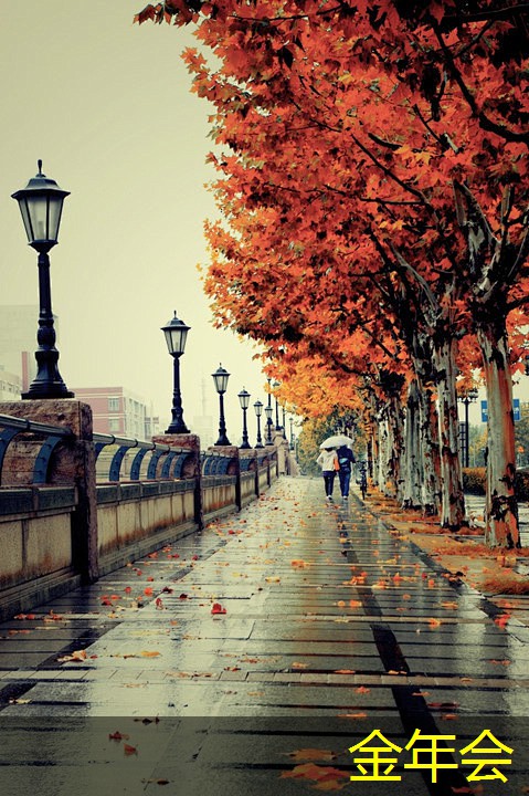 環(huán)氧煤瀝青防腐鋼管的環(huán)保性能評價