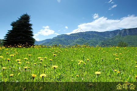 環(huán)氧煤瀝青防腐鋼管的生產(chǎn)工藝詳解