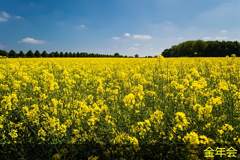 環(huán)氧煤瀝青防腐鋼管的防腐蝕技術應用