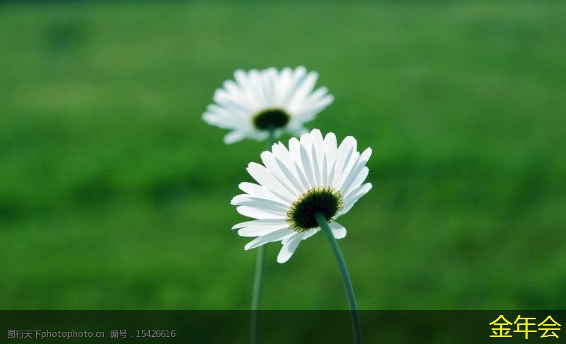 環(huán)氧粉末防腐鋼管標(biāo)準(zhǔn)化的實(shí)踐經(jīng)驗(yàn)分享