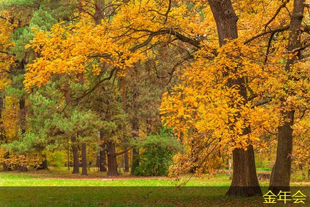 環(huán)氧粉末防腐鋼管標(biāo)準(zhǔn)的制定過(guò)程詳解