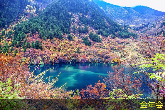 環(huán)氧粉末防腐鋼管檢測標(biāo)準(zhǔn)及方法