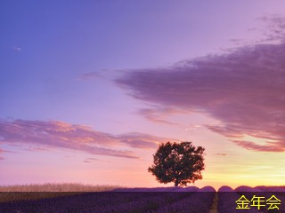 環(huán)氧粉末防腐鋼管的應(yīng)用案例介紹 環(huán)氧粉末防腐鋼管的應(yīng)用案例介紹