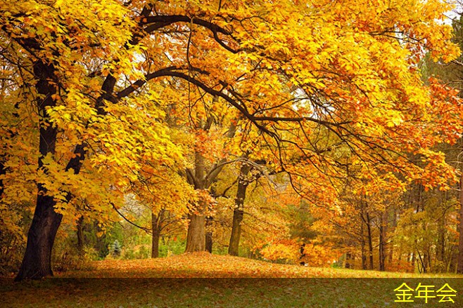 環(huán)氧粉末防腐鋼管的技術(shù)標準解讀