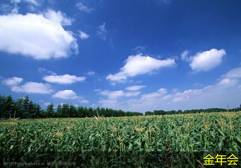 環(huán)氧粉末防腐鋼管的標(biāo)準(zhǔn)測試與評估