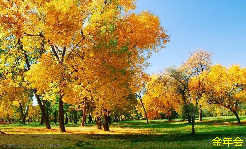 環(huán)氧粉末防腐鋼管的涂層施工工藝 環(huán)氧粉末防腐鋼管的涂層施工工藝