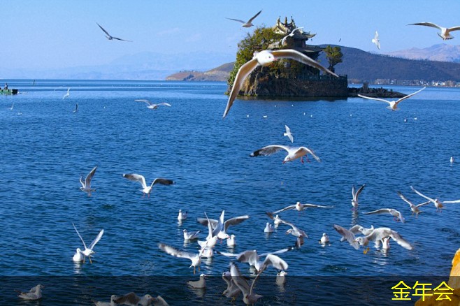 環(huán)氧粉末防腐鋼管的生產(chǎn)標(biāo)準(zhǔn)實施要點