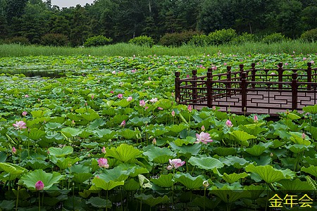 鋼套鋼保溫鋼管的保溫效果提升 鋼套鋼保溫鋼管的保溫效果提升