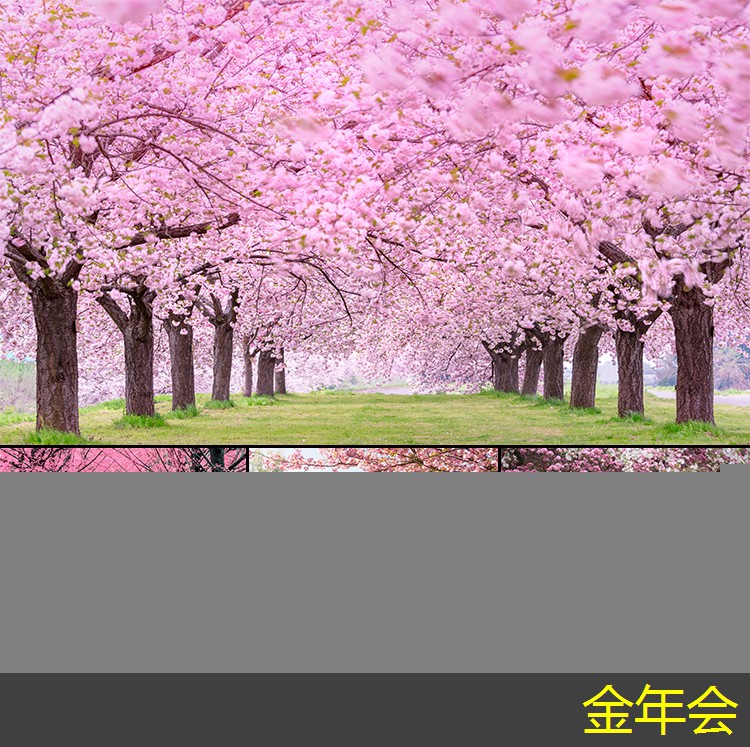 鋼套鋼保溫鋼管的技術規(guī)范介紹 鋼套鋼保溫鋼管的技術規(guī)范介紹