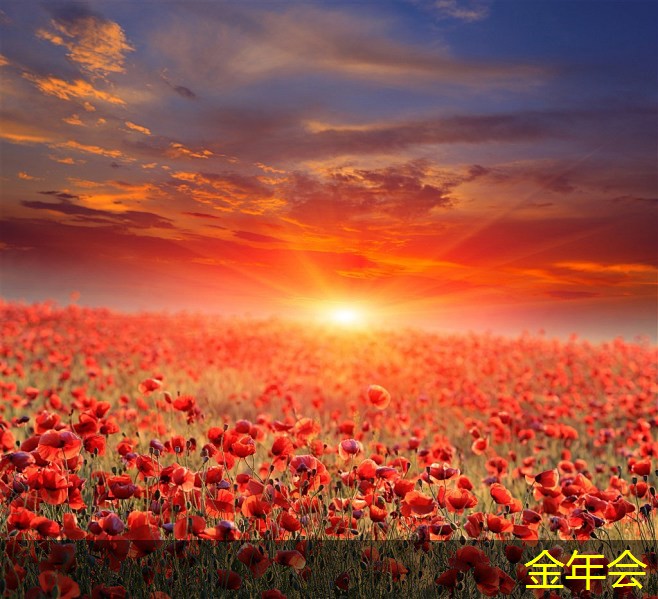 鋼套鋼保溫鋼管的施工工藝總結 鋼套鋼保溫鋼管的施工工藝總結