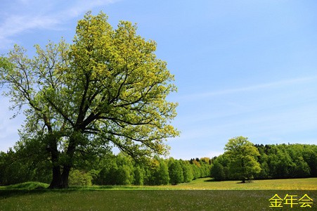 鋼套鋼保溫鋼管的防腐處理方法